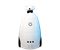R.Bot 100 Promo 3970 - фото 7116