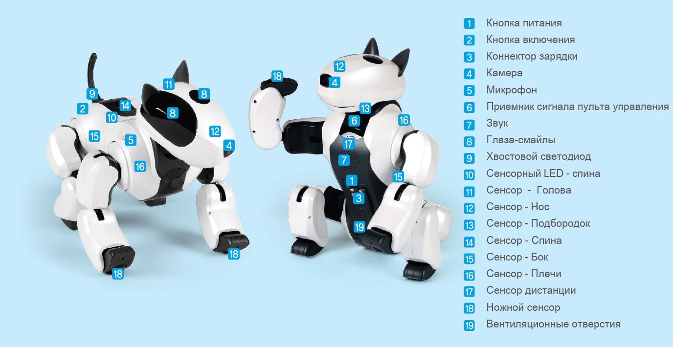 Сколько роботов в команде. Робот-собака. Собака робот инструкция. Команды для робота собаки. Собака-робот "Дюк".